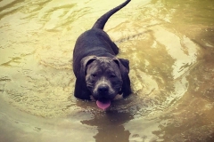 18902158_10213121376335114_1791402345_n