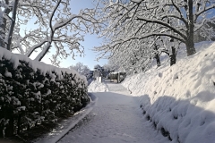 IMG_20180227_090006_resized_20180227_084959418